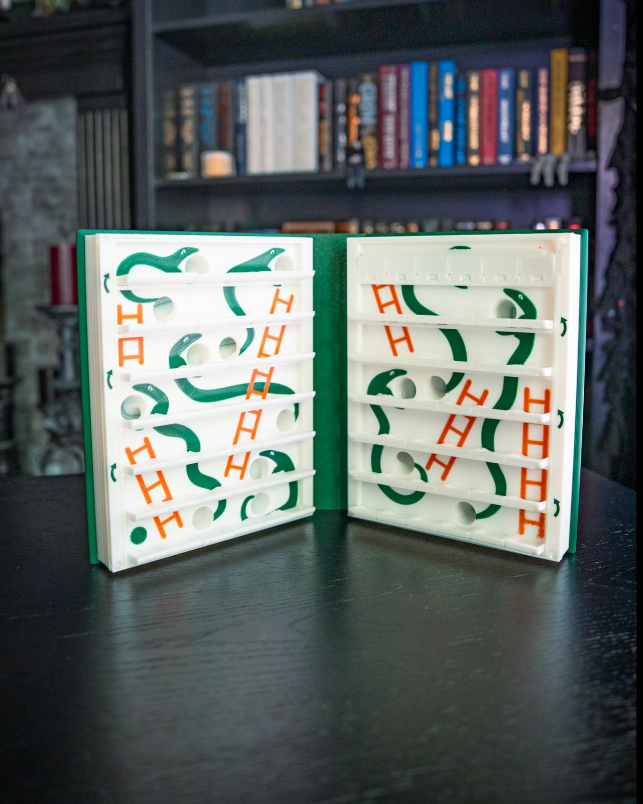 Snakes & Ladders Book Game