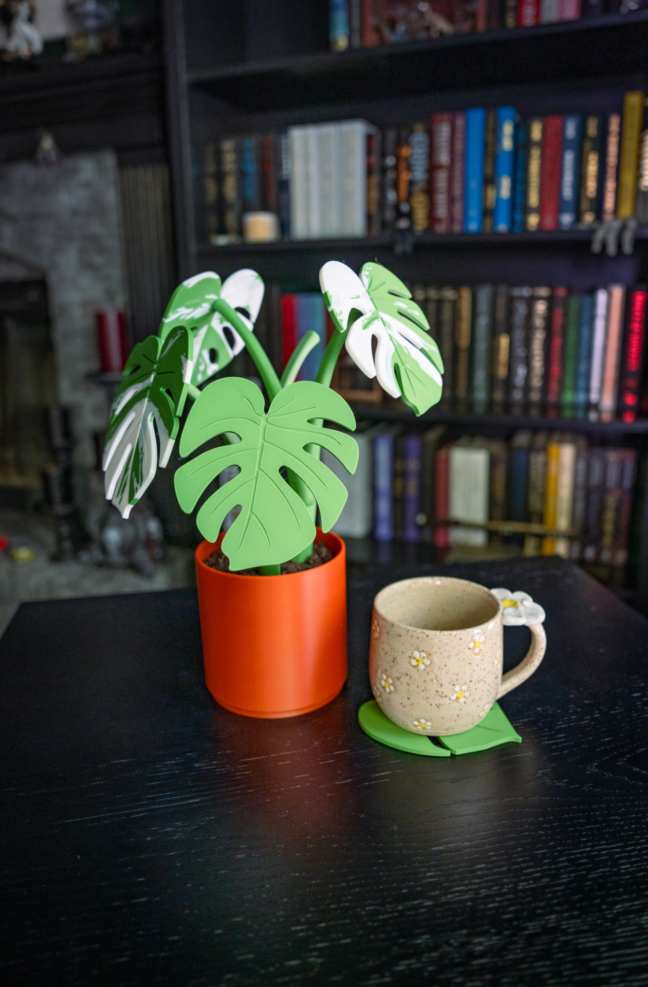 Monstera Coaster Plant