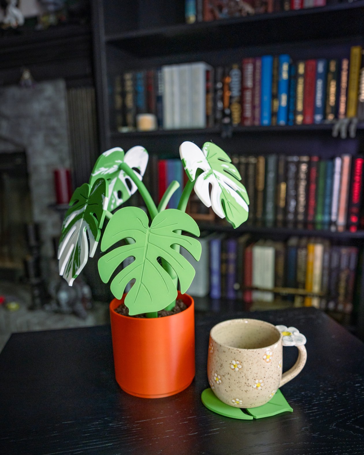 Monstera Coaster Plant
