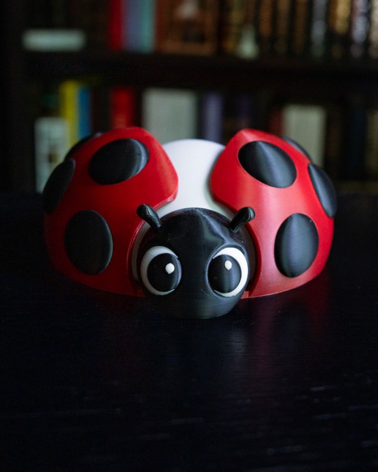 Ladybug Lamp